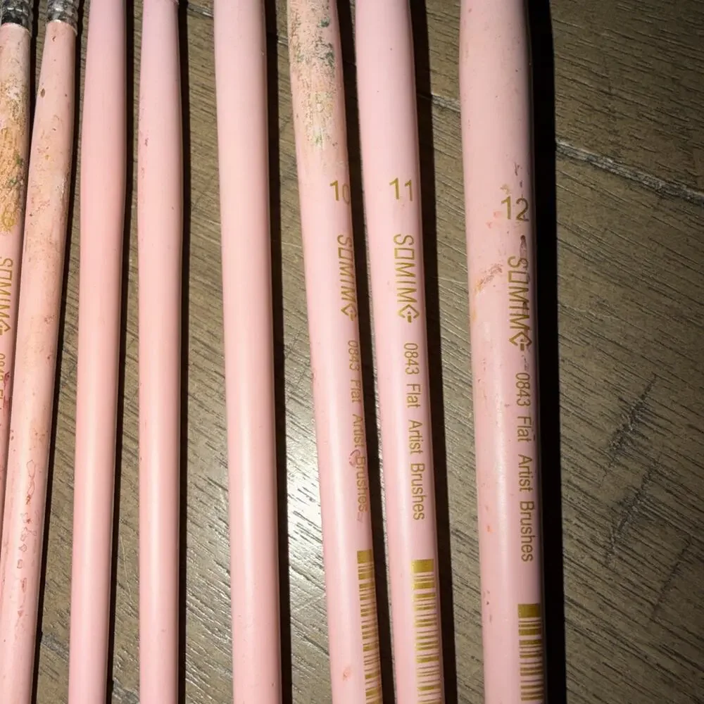 Somime Professional Watercolor Paint Brush Set 12 Pcs Round Flat Pink Well Loved
